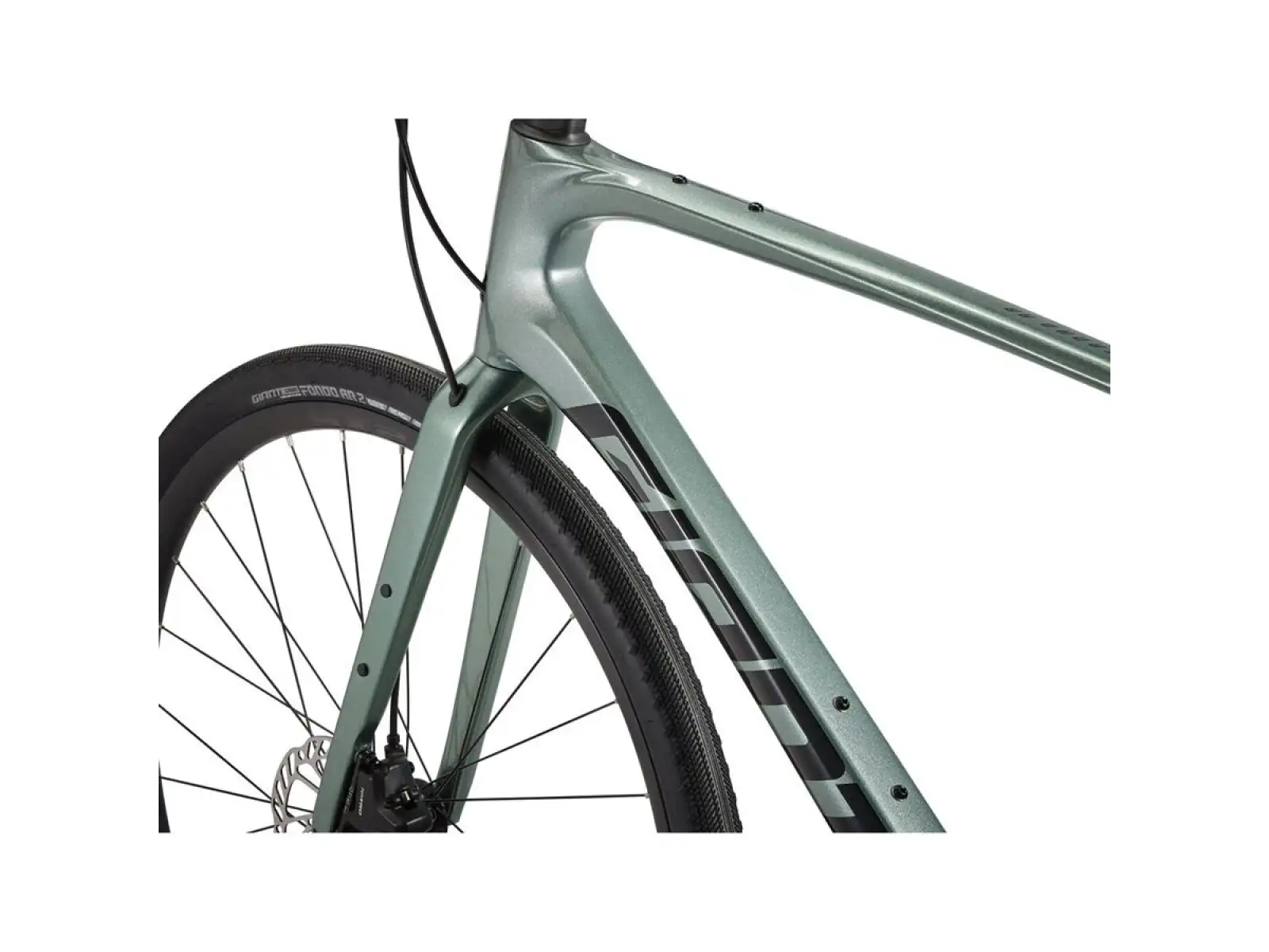 Giant FastRoad AR Advanced 2 fitness bicykel misty forest