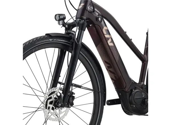 Trekingový elektrobicykel Liv Amiti E+2 rosewood