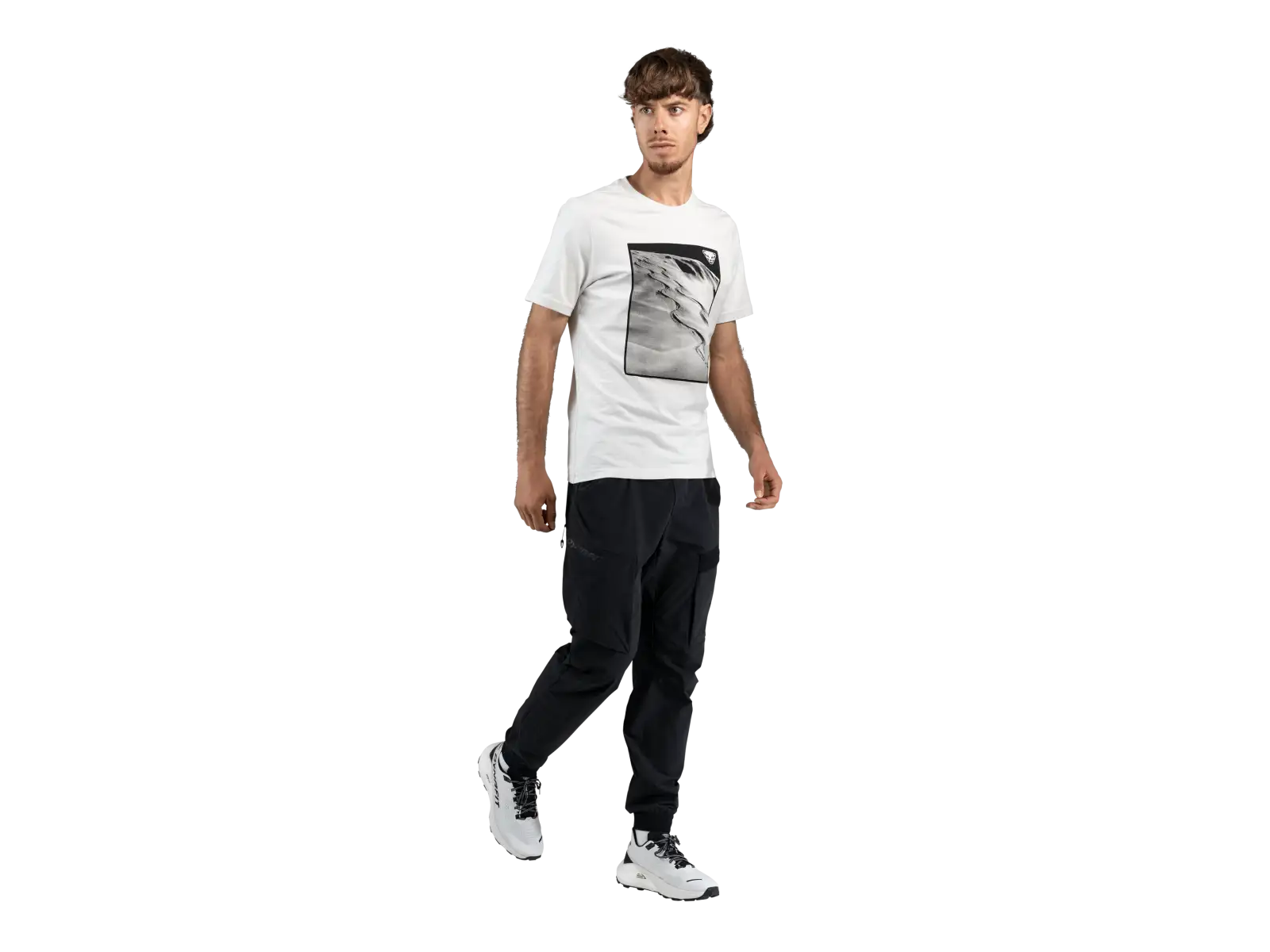 Dynafit Graphic Cotton pánske tričko krátky rukáv Nimbus/First Track