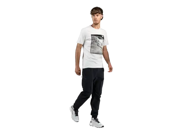 Dynafit Graphic Cotton pánske tričko krátky rukáv Nimbus/First Track