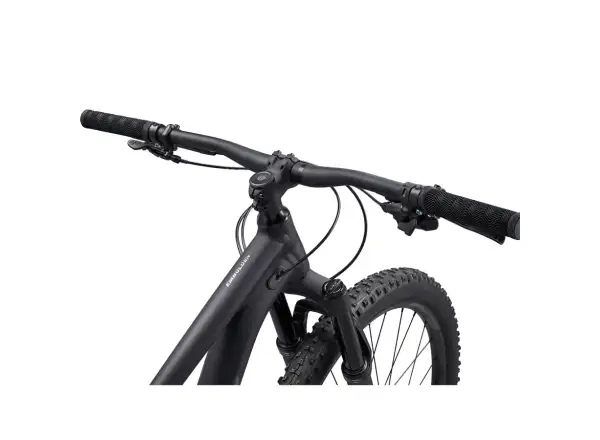Liv Embolden 29 1 horský bicykel Matte Black
