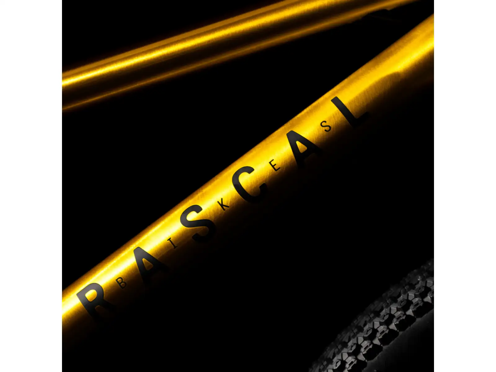 Rascal 20 detský bicykel Gold