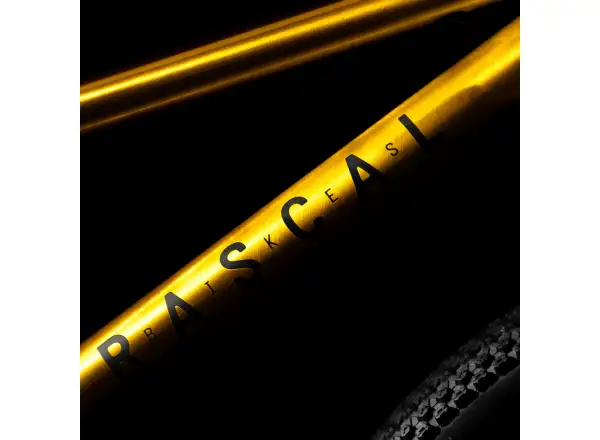 Rascal 20 detský bicykel Gold