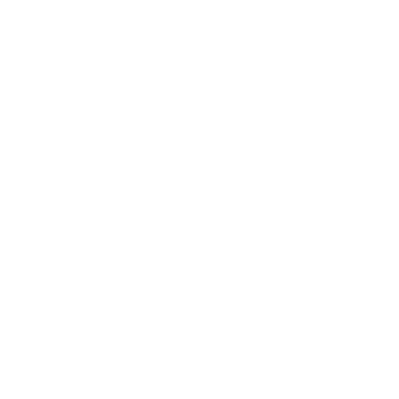 dynafit