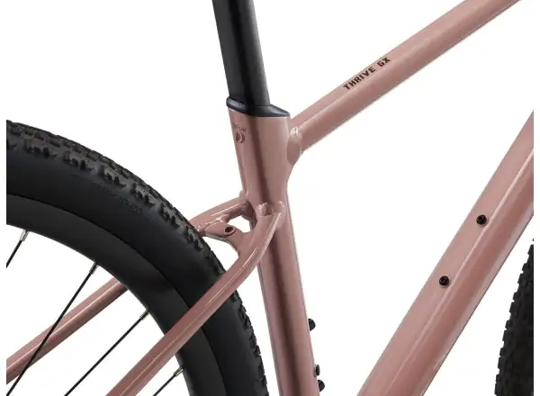 Liv Thrive GX fitness bicykel petra clay