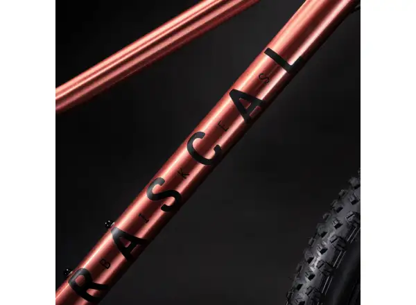 Rascal Wild 24 detské bicykel Bronze