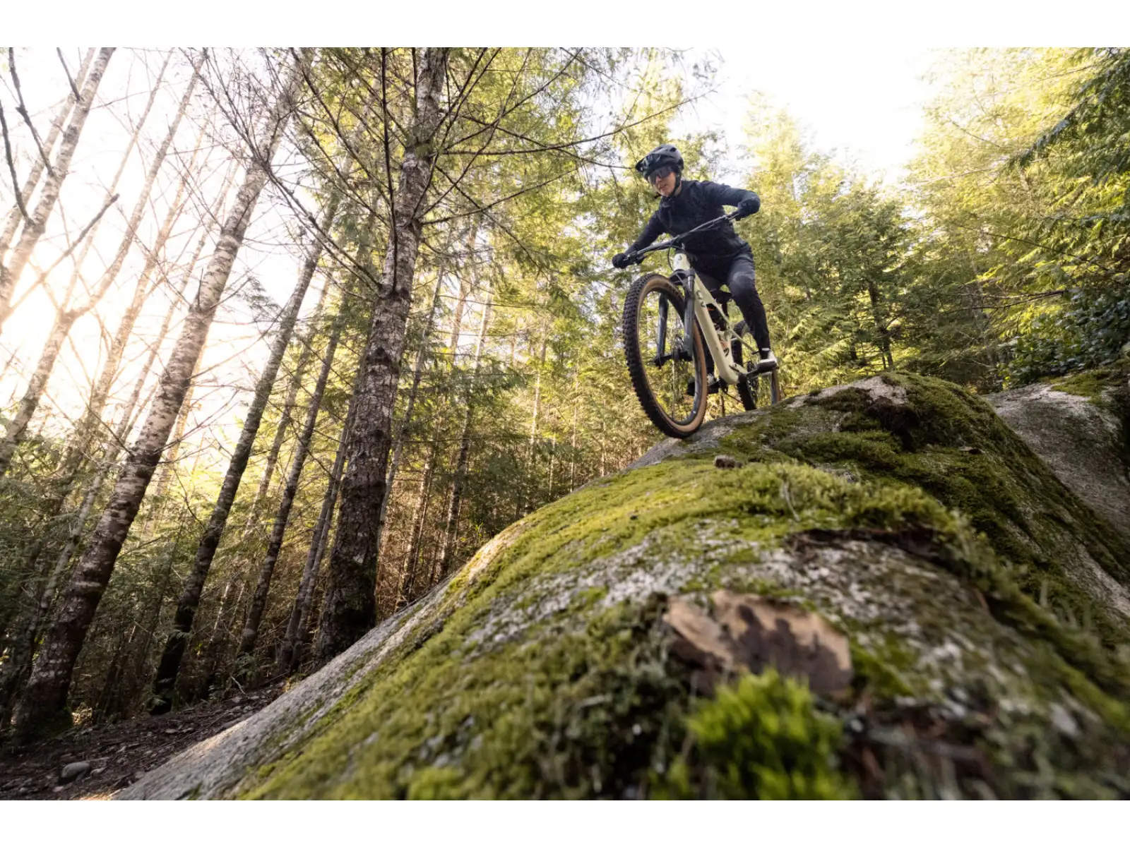 Liv Embolden 2026 horský bicykel Pale Moss