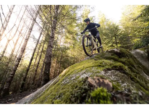 Liv Embolden 2026 horský bicykel Pale Moss