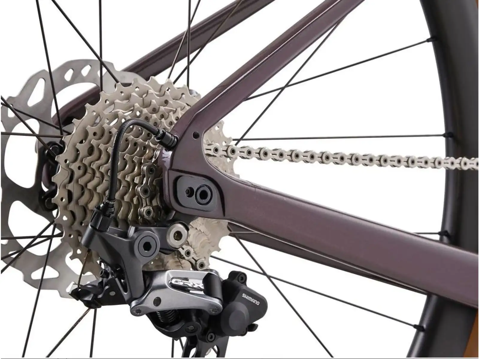 Giant Revolt Advanced 0 gravel bike charcoal plum