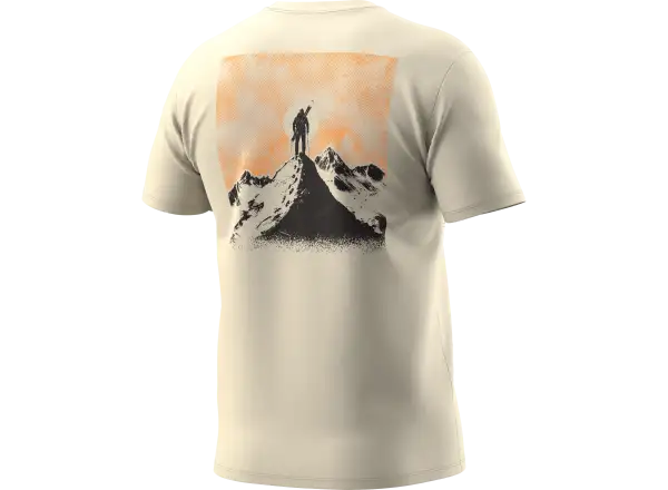Dynafit Back Graphic Cotton pánske tričko krátky rukáv Overcast/Summit