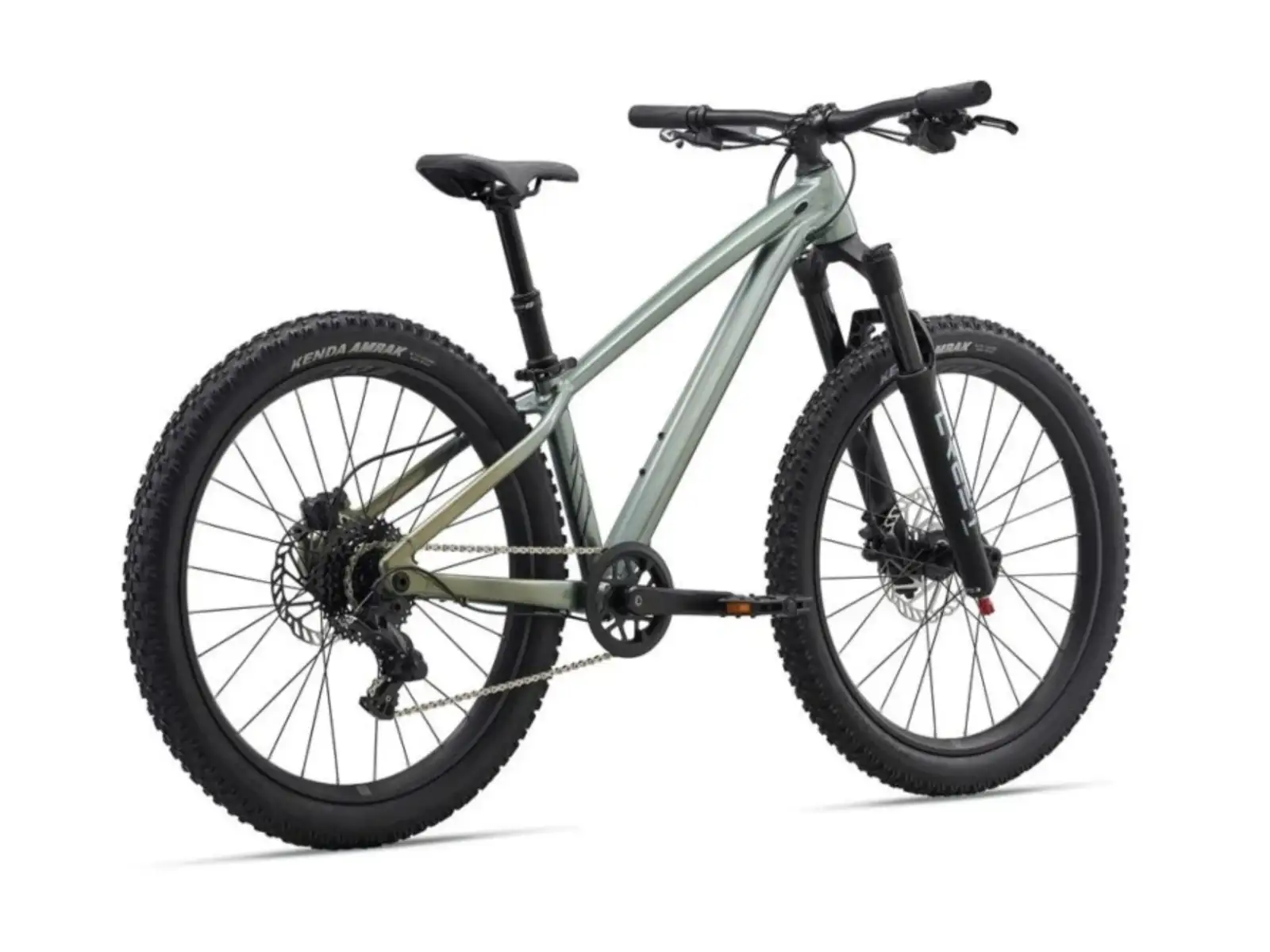 Liv STP 24 detský horský bicykel Alpine Green
