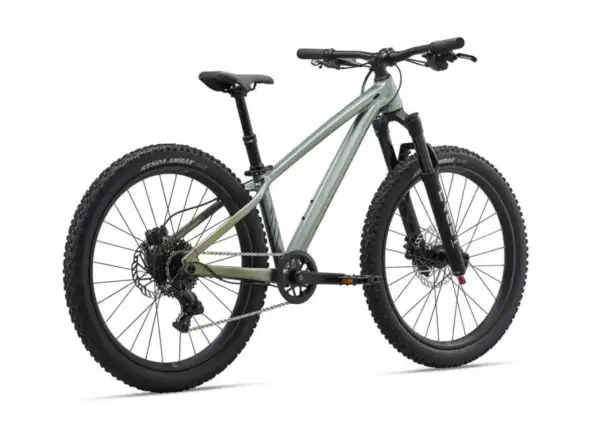 Liv STP 24 detský horský bicykel Alpine Green