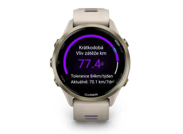 Garmin Forerunner 970 smart hodinky French Grey/Indigo