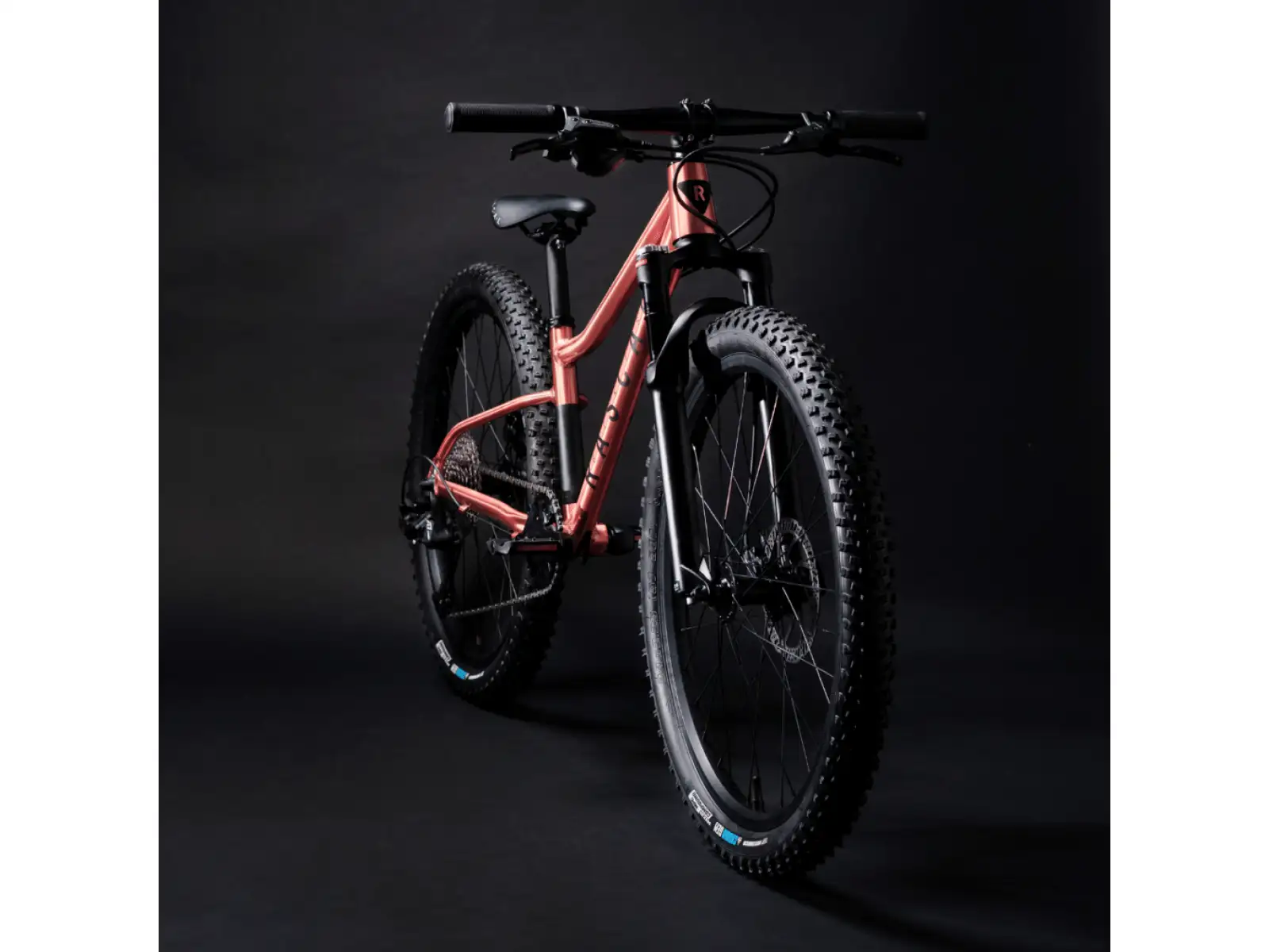 Rascal Wild 24 detské bicykel Bronze