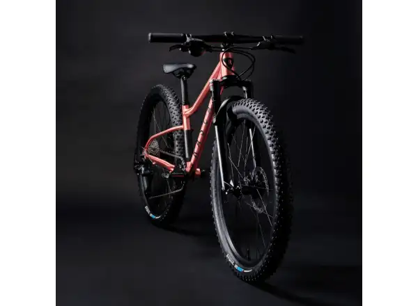 Rascal Wild 24 detské bicykel Bronze