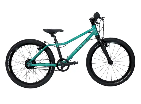 Rascal 20 Limited detský bicykel Emerald
