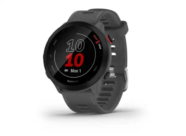 Inteligentné hodinky Garmin Forerunner 55 sivé