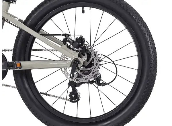 Rock Machine RIFF Tr 20 detský bicykel Gloss Limerock Grey