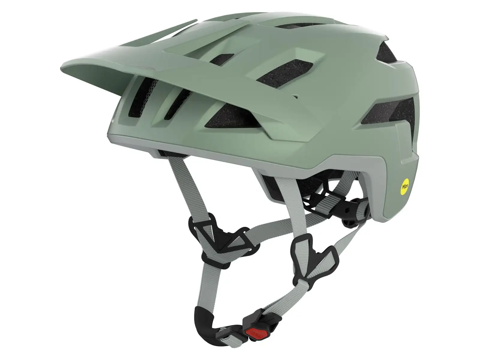 Alpina Taunus Mips prilba Willow/Green Matt