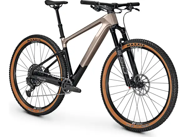 Horský bicykel Focus Raven 8.9 DI Silver Glossy / Carbon Raw Glossy