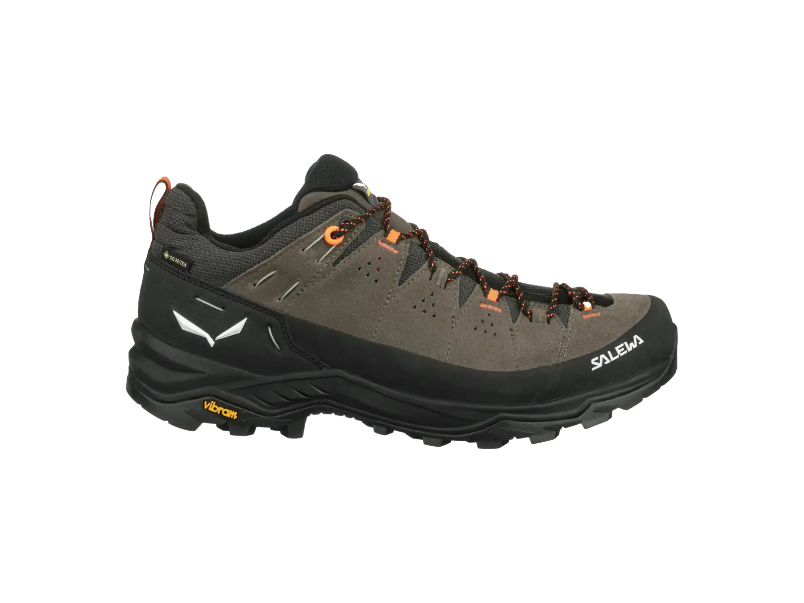 Salewa Alp Trainer 2 GTX pánske topánky Bungee Cord/Black