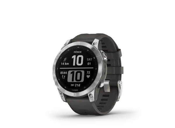 Inteligentné hodinky Garmin fenix 7 Silver/Black