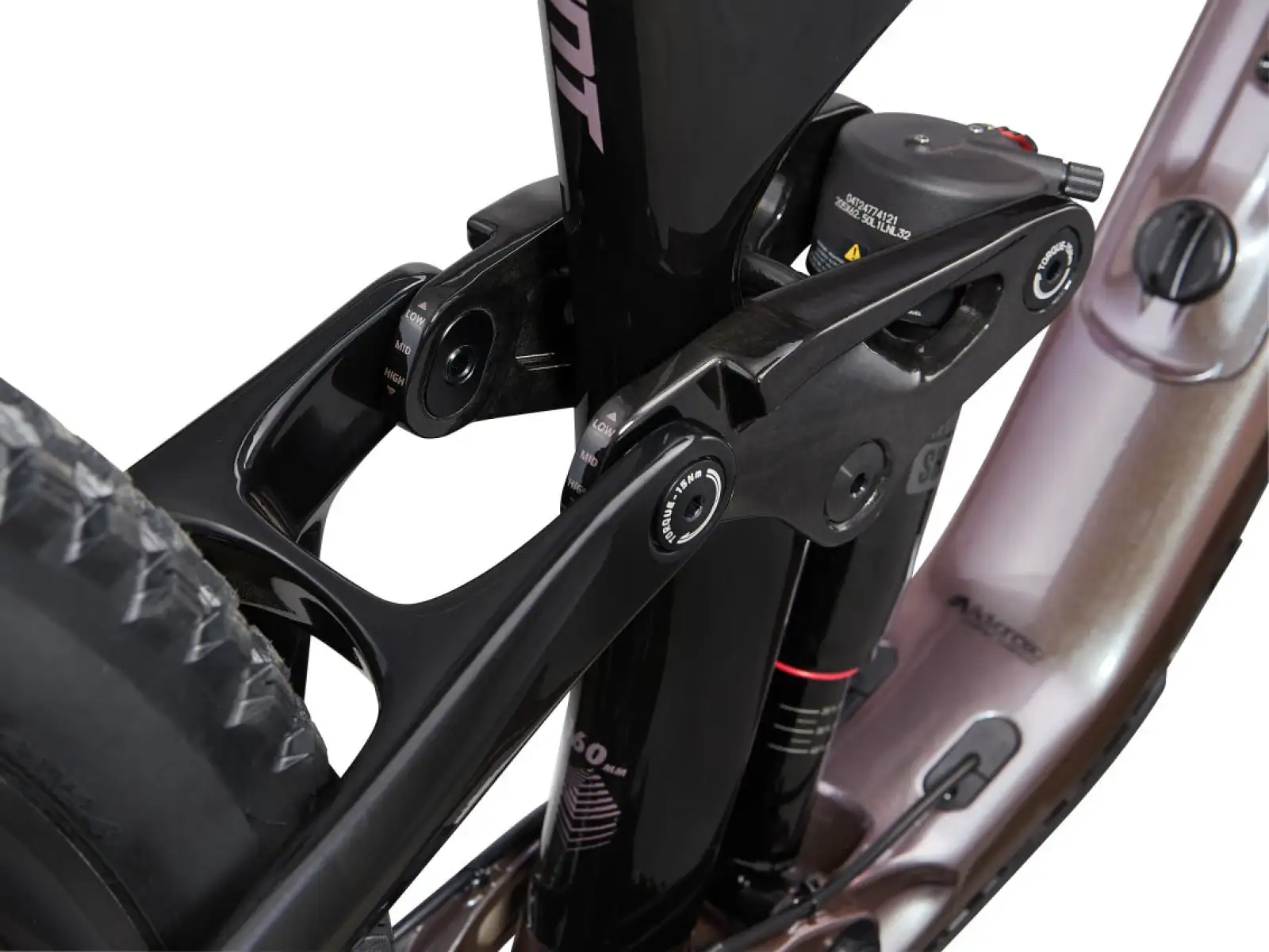 Horský bicykel Giant Reign Advanced Pro 2 Orion Nebula/Carbon