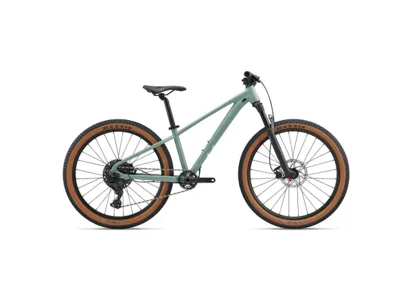 Liv STP 26 M detský horský bicykel Eucalyptus