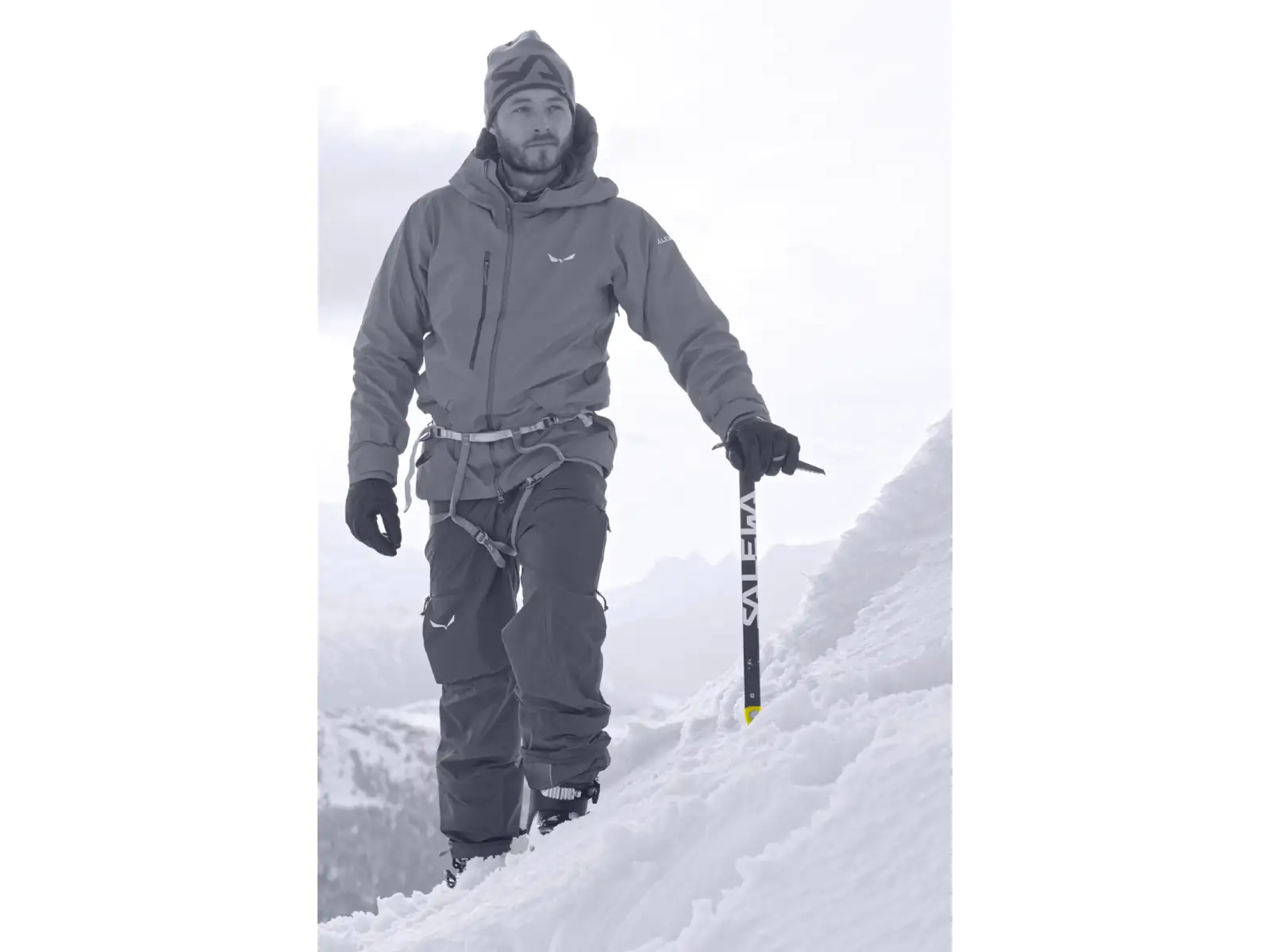 Salewa Alpine-X čakan 65 cm