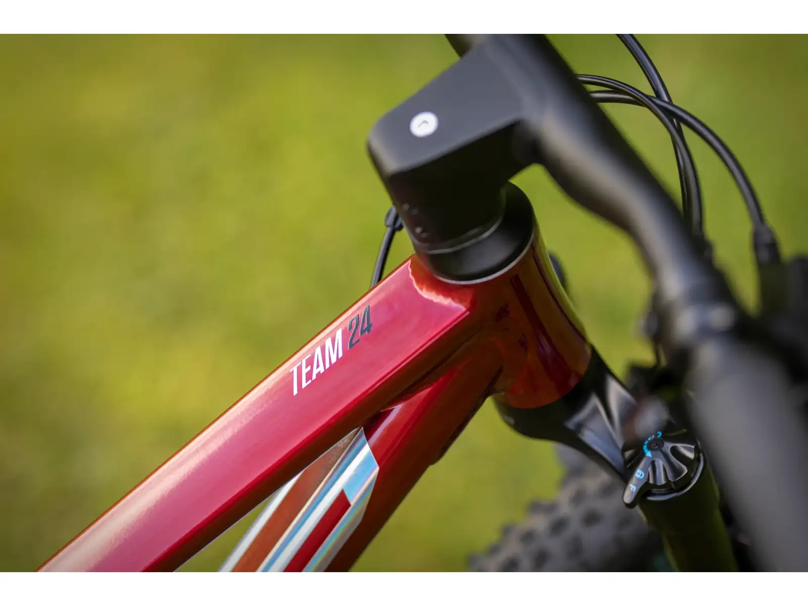 Superior Team 24 detský horský bicykel Gloss Dark Red