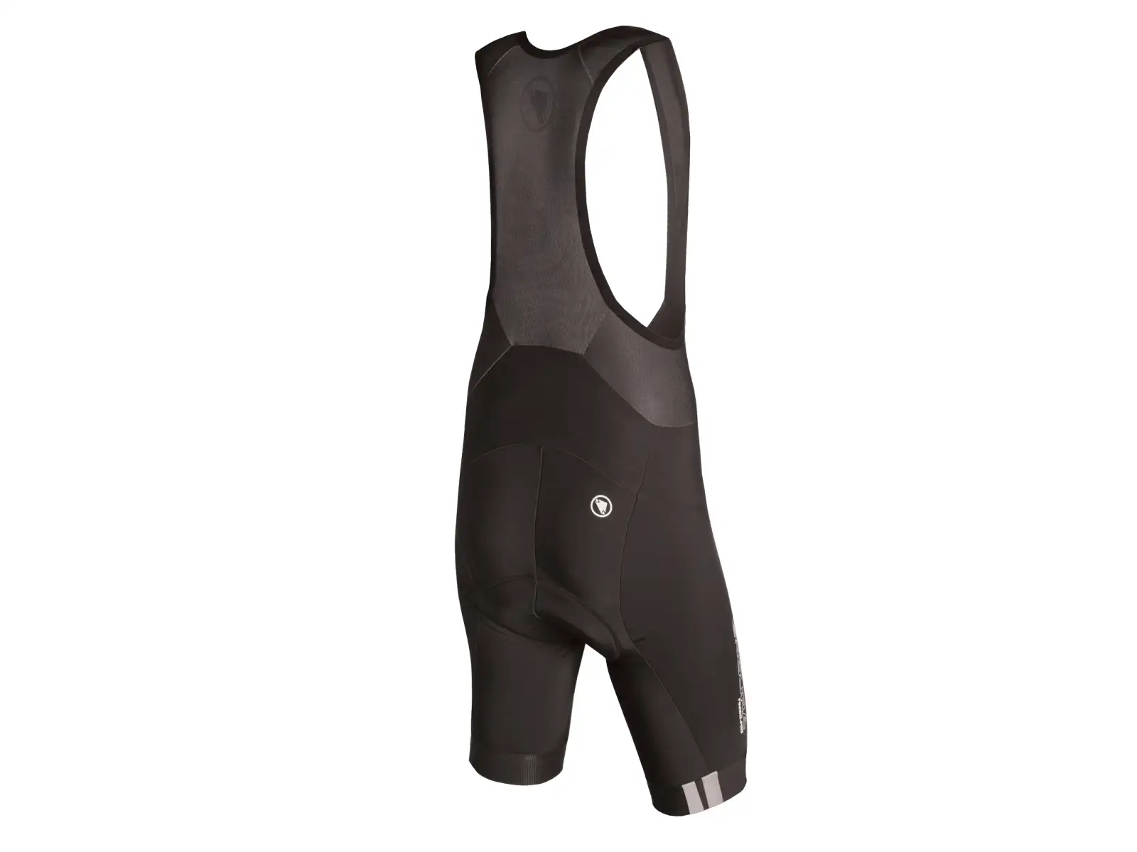 Endura FS260-Pro Thermo kraťasy s trakmi a vložkou Black