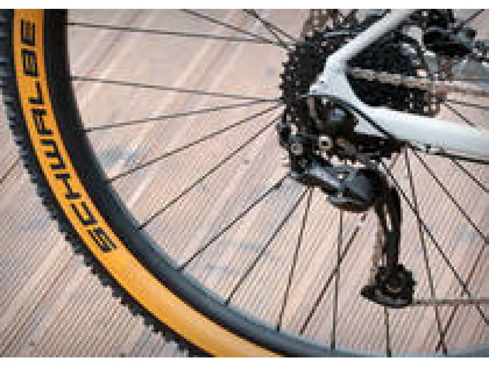 Superior XC 859 Gloss Grey/Orange horský bicykel