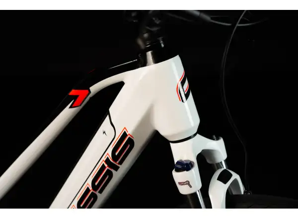 Elektrický crossový bicykel Crussis e-Cross low 7.8-M