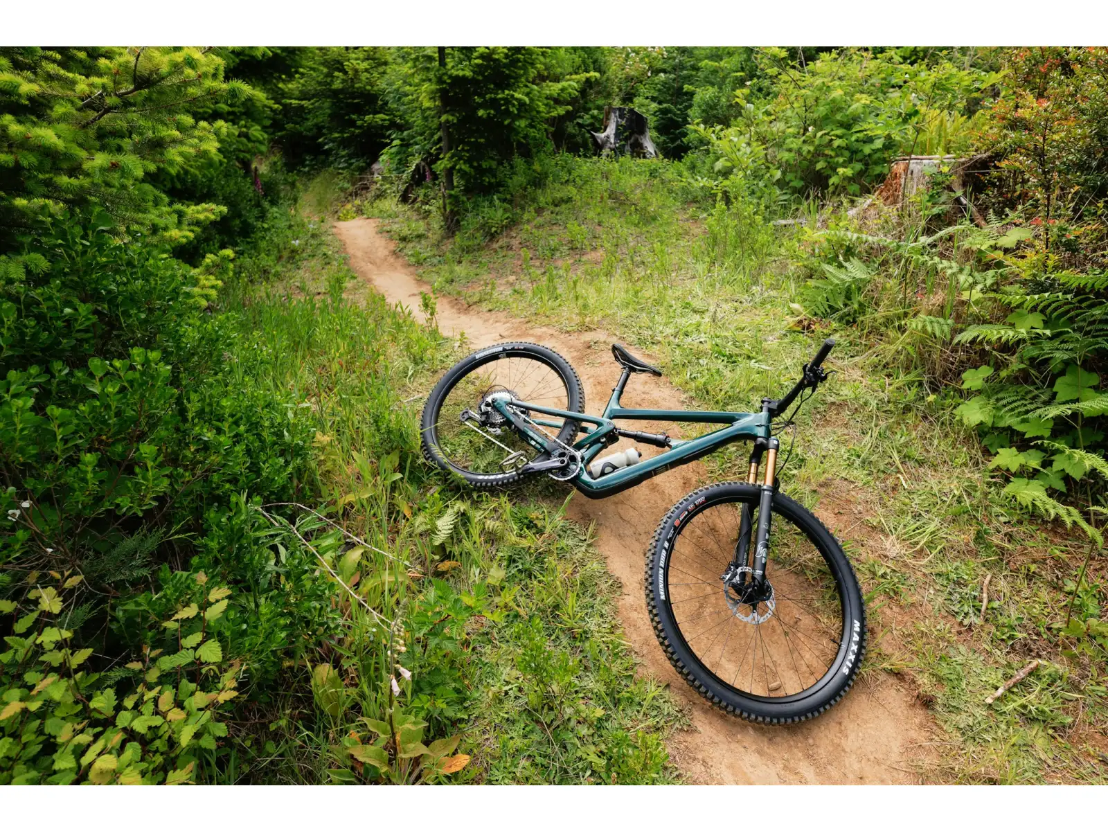 Ibis Ripley V5 XT Di2 horský bicykel Green Flash