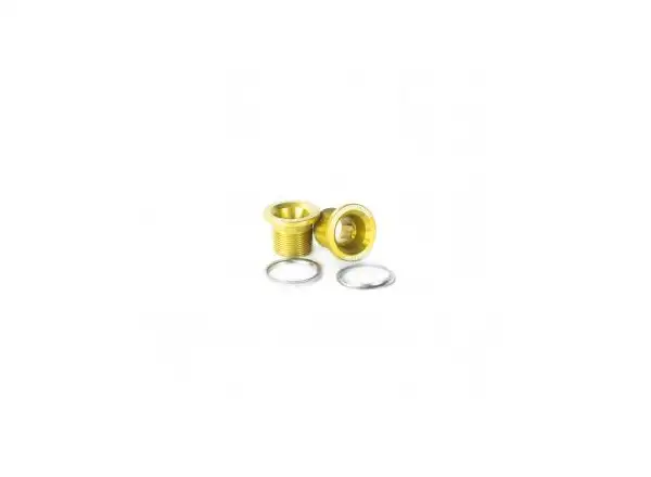 Leonardi Factory Bolt Capo Bolts Crank Gold