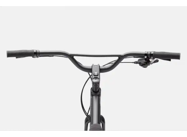 Cannondale Treadwell 2 Ltd RAW fitness bicykel