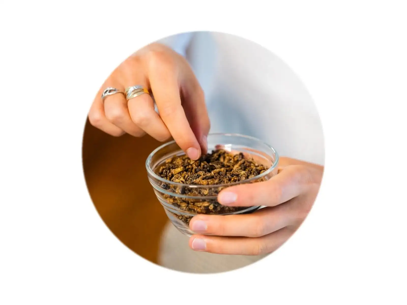 Grig chrumkaví cvrčci Chilli & lime 20 g
