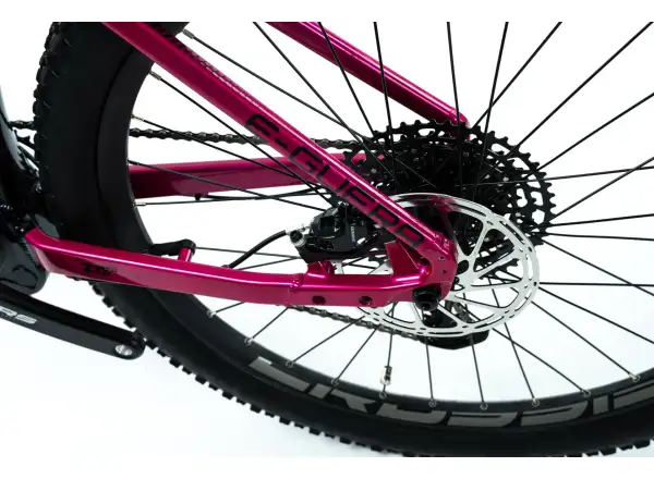 Crussis PAN Guera 10.9-M horský elektrobicykel