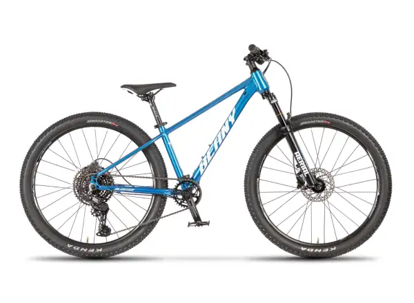 Beany Blaster 24 detský bicykel Blue