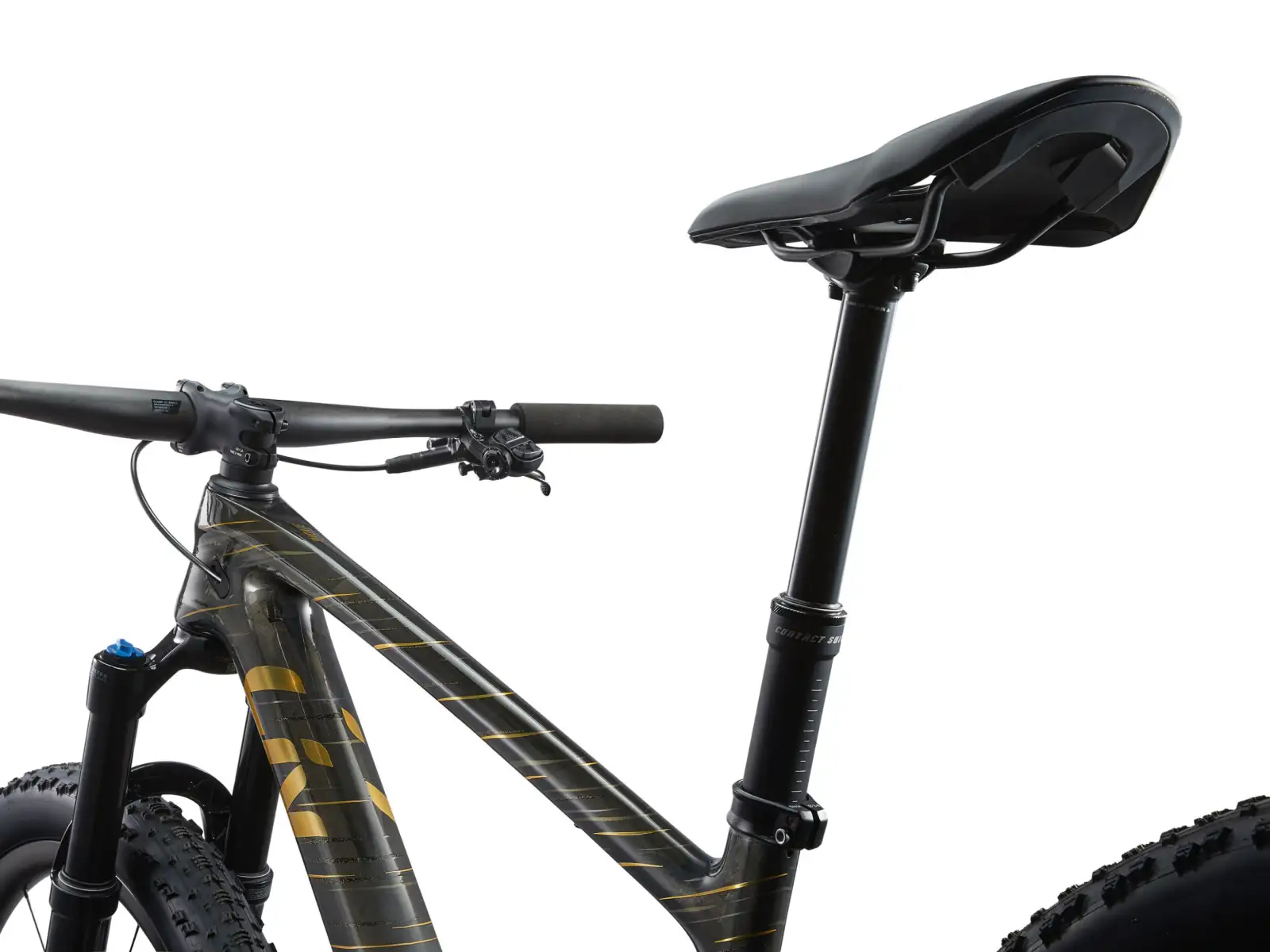 Liv Pique Advanced 29 1 horský bicykel Raw Carbon