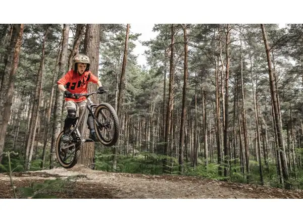 Early Rider Hellion 20 detský bicykel Brushed Aluminium