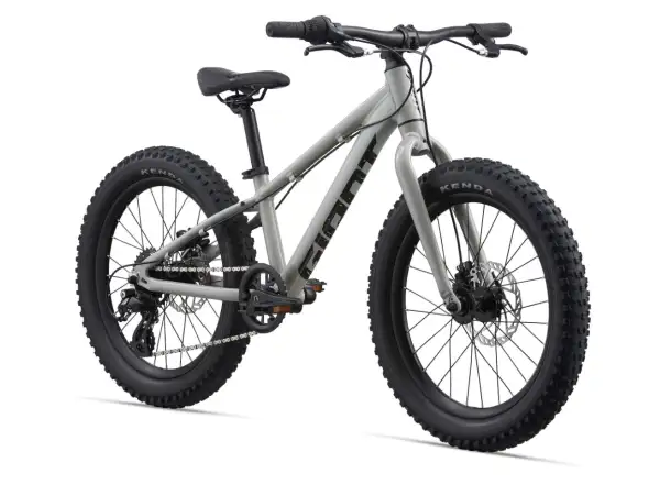 Giant STP 20 detský bicykel Concrete