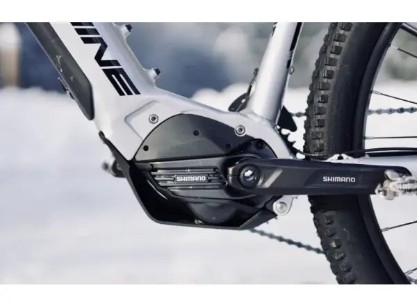 Horský bicykel Rock Machine Blizz e60-29 Gloss Silver/Black