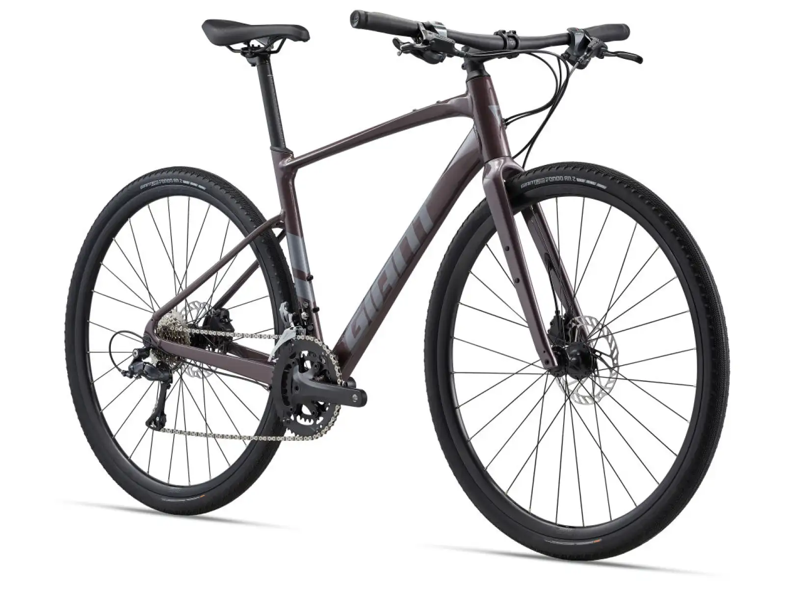 Giant FastRoad AR 3 fitness bicykel charcoal plum
