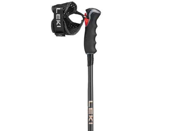 Leki Artena Airfoil 3D lyžiarske palice Black/Dark Anthracite/Rosegold