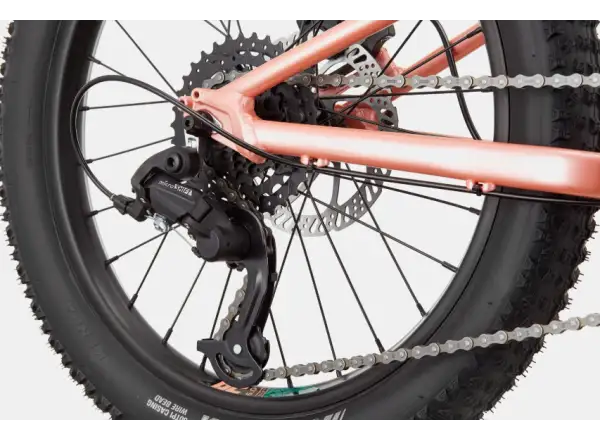Cannondale Trail Plus 20 detský bicykel Salmon