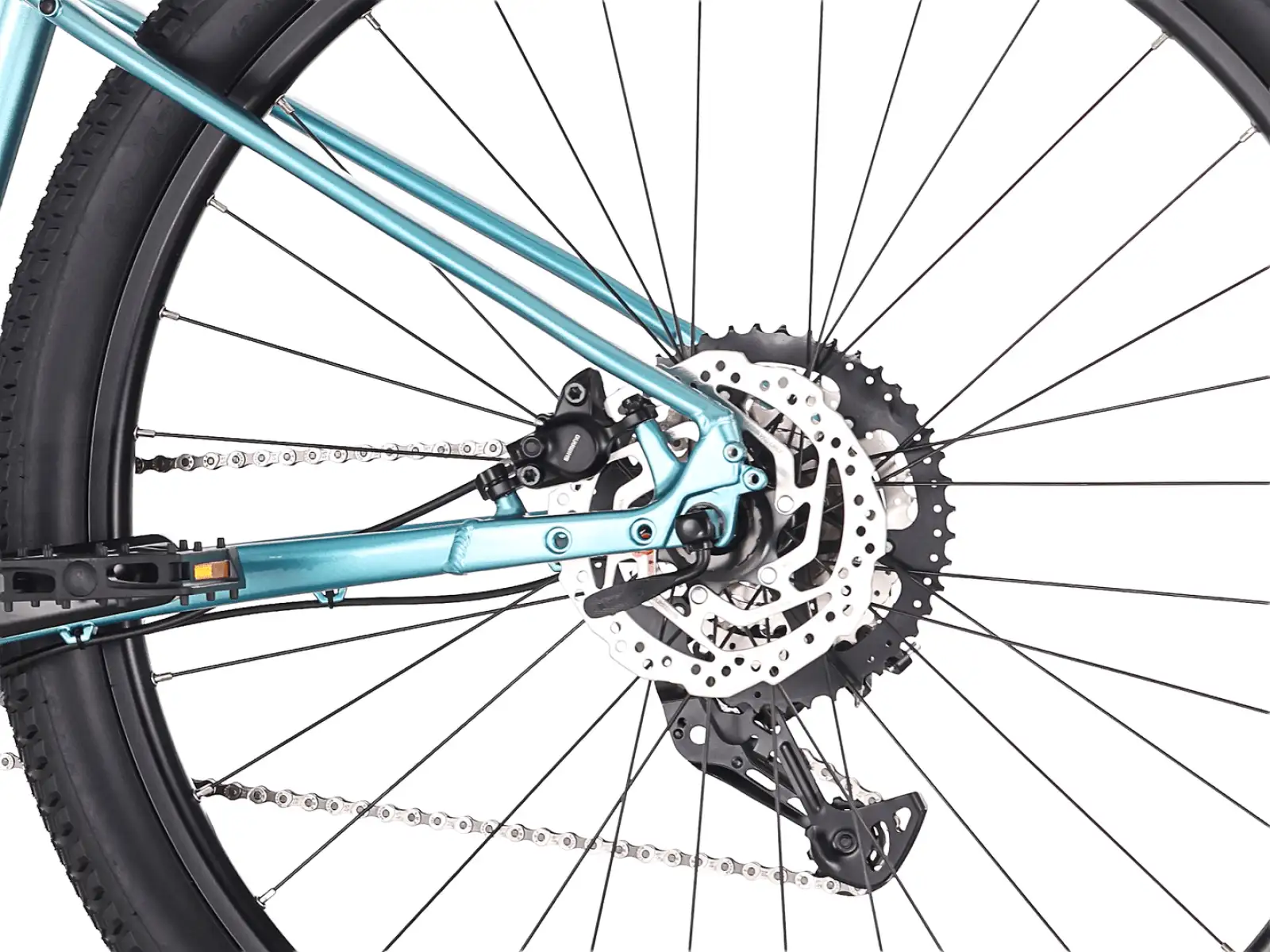 Rock Machine Catt 30 horský bicykel Gloss Zircon Blue