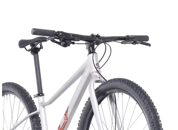 Superior F.L.Y. 27 detský bicykel Matte Silver