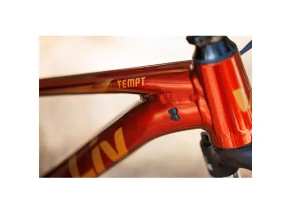 Giant Tempt 2 XS horský bicykel Mars Dust