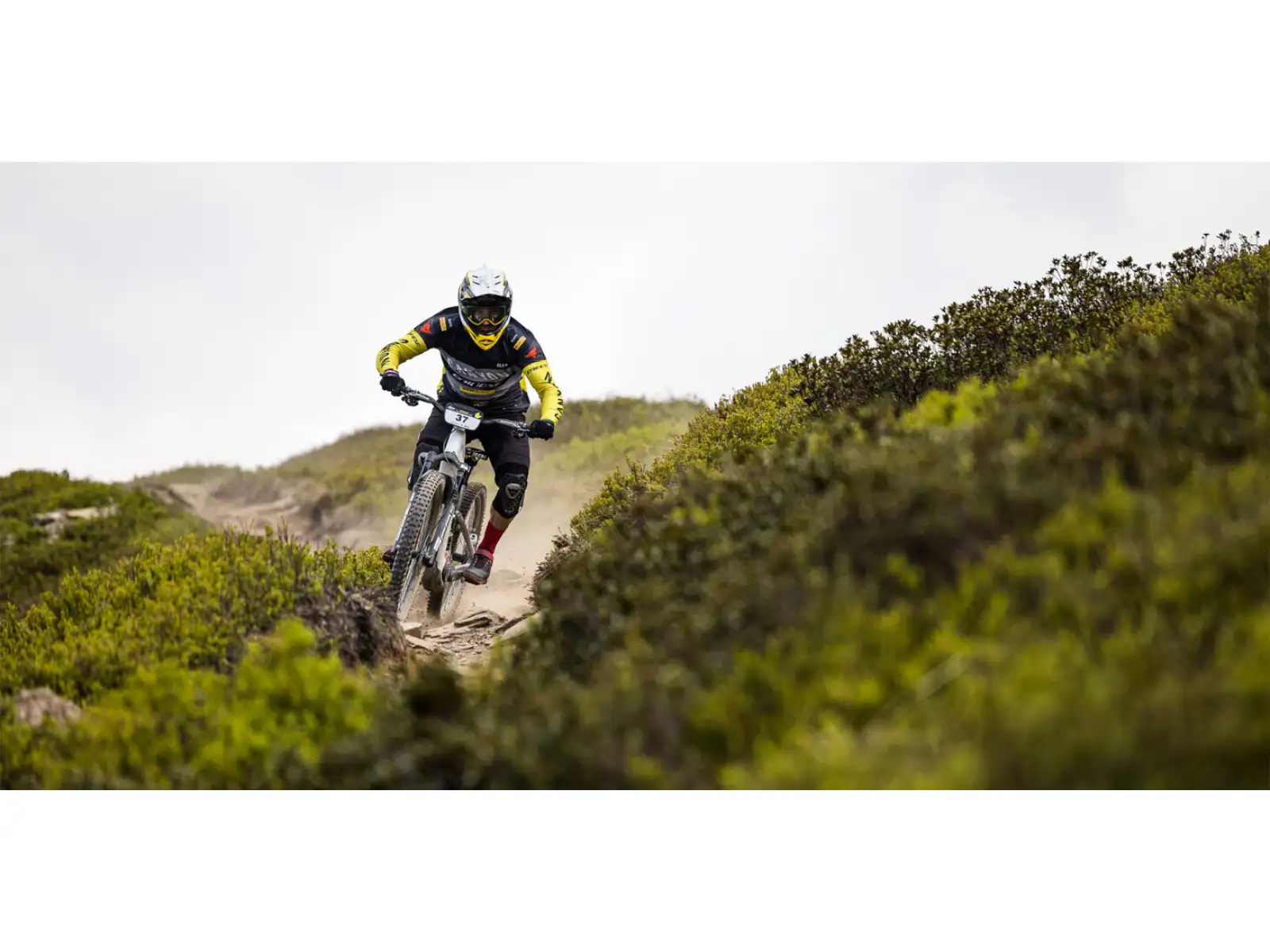 Ergon SM Enduro Pro Titanium Team sedlo Oil Slick